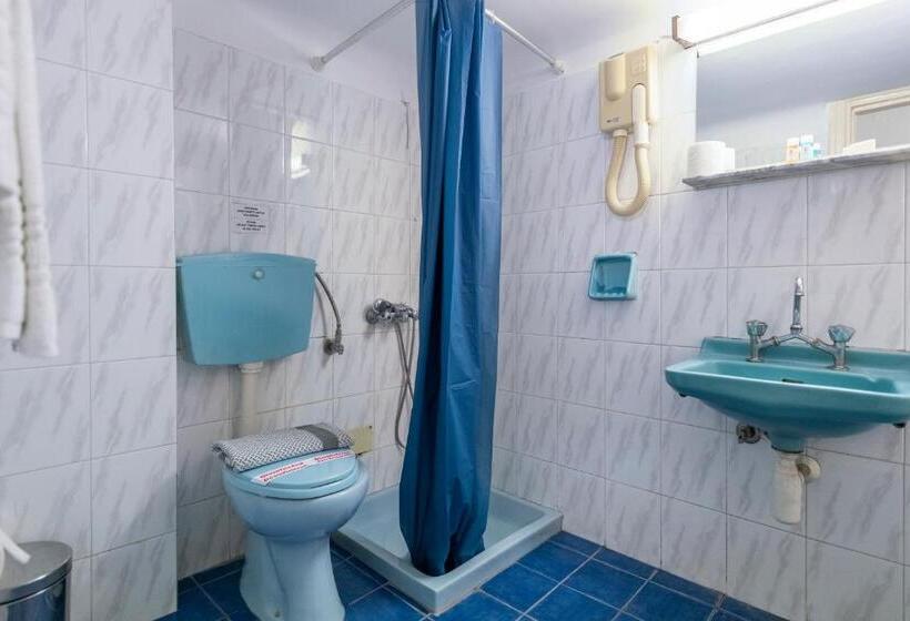 חדר סטנדרט, Roy