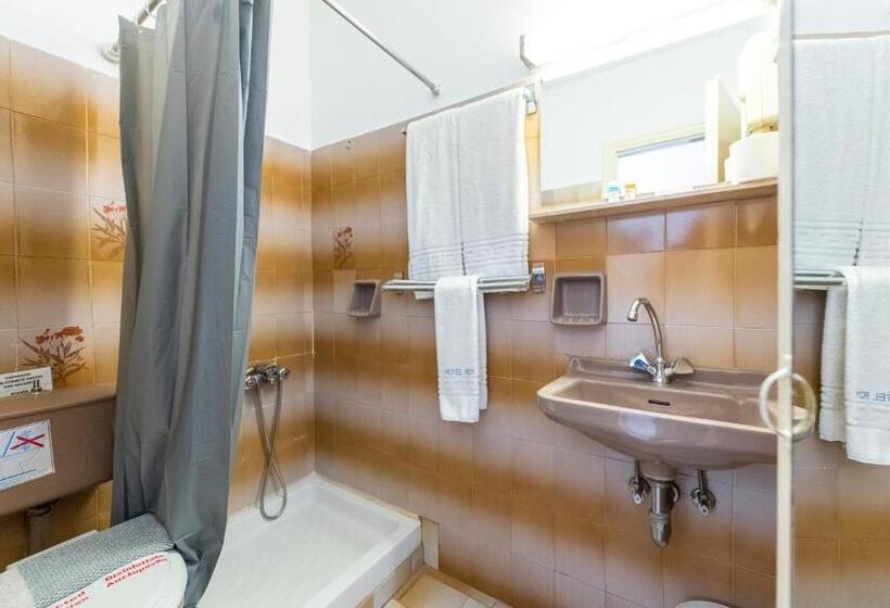 חדר סטנדרט יחיד, Roy