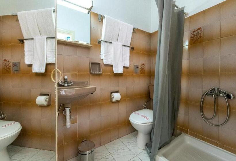 חדר סטנדרט לשלושה, Roy