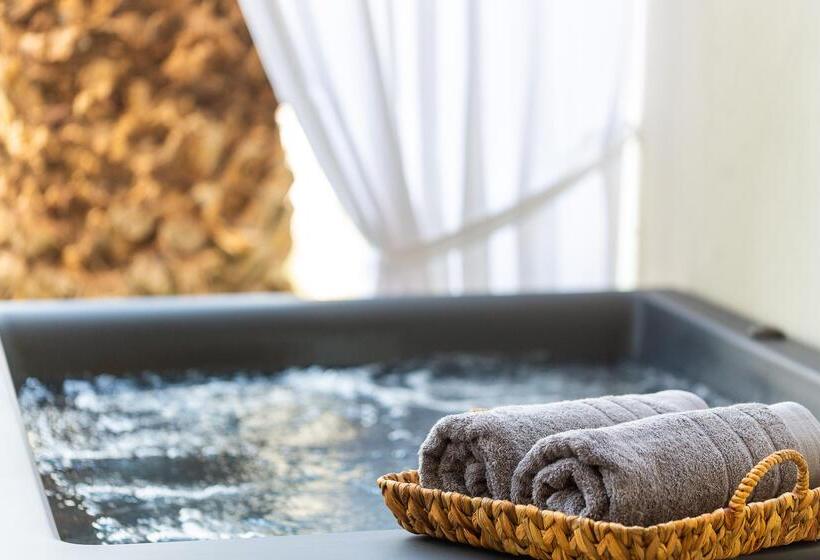 غرفة سوبيريور, Theartemis Palace