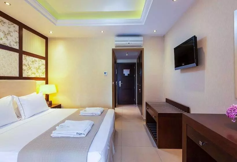 Chambre Standard, Theartemis Palace
