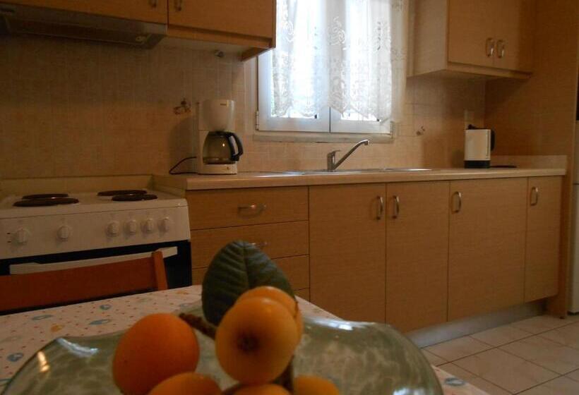 דירת חדר בקומת קרקע, Voula