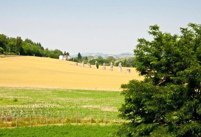 Номер Стандарт, Rondò