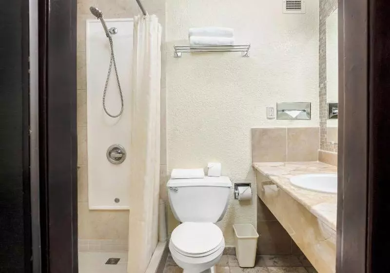 اتاق استاندارد با تخت بزرگ, Copantl Hotel & Convention Center