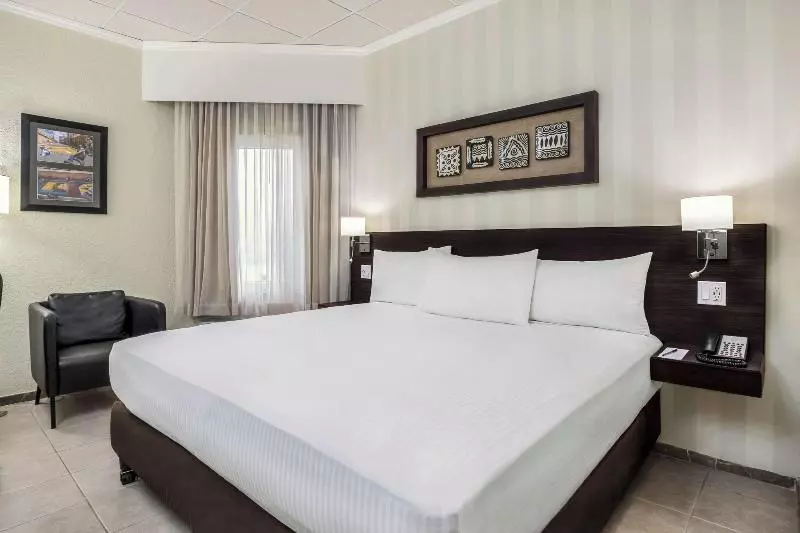 اتاق استاندارد با تخت بزرگ, Copantl Hotel & Convention Center