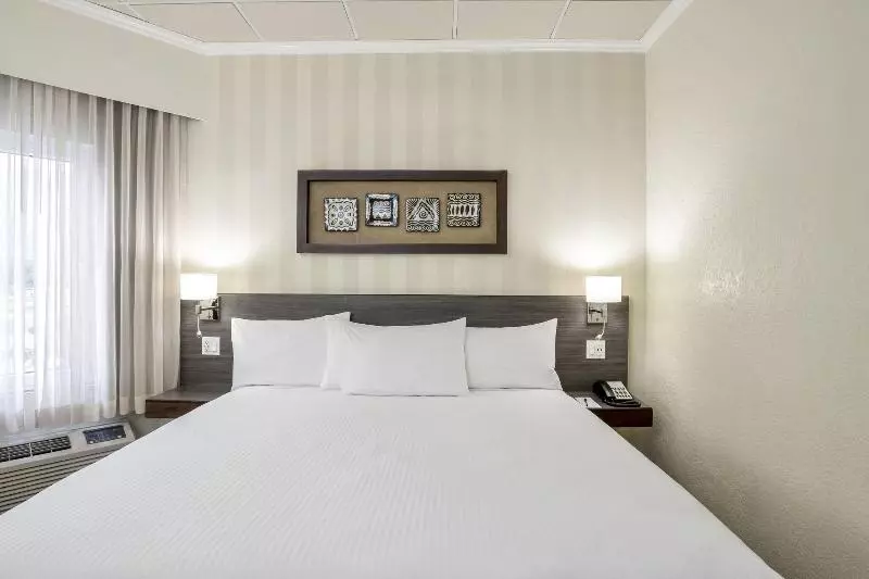 اتاق استاندارد با تخت بزرگ, Copantl Hotel & Convention Center
