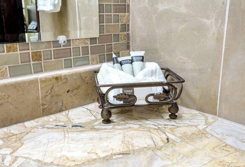 스탠다드 룸, Copantl Hotel & Convention Center