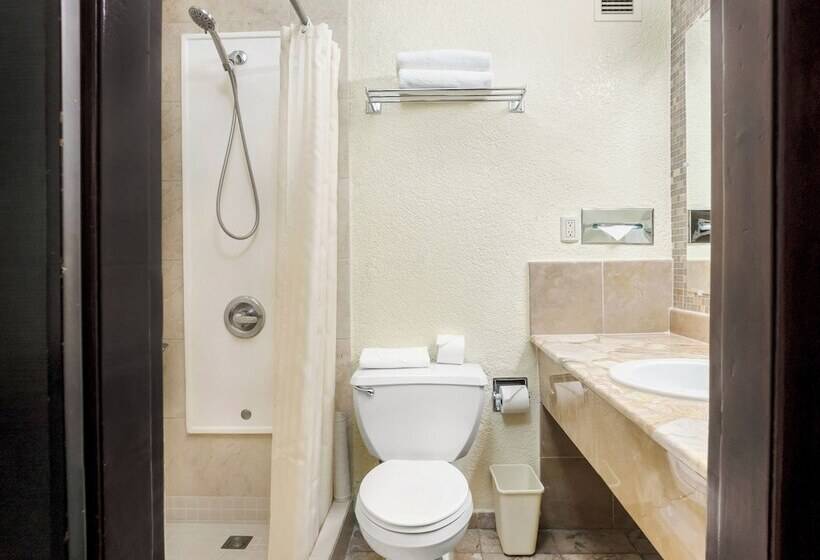 스위트, Copantl Hotel & Convention Center