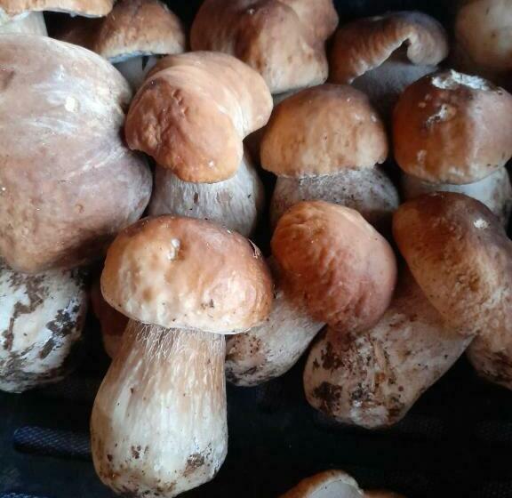 Номер Стандарт с Балконом, Ristorante La Baitina