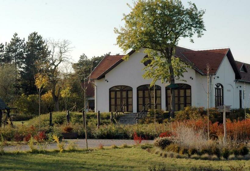 스탠다드 트리플 룸, Sarlóspuszta Club