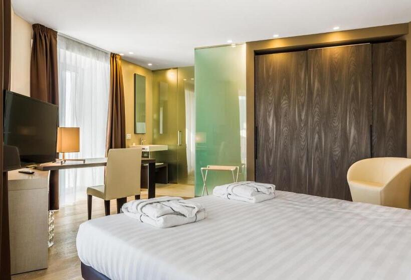 اتاق استاندارد با چشمانداز کوهستان, Suites Hotel Astor