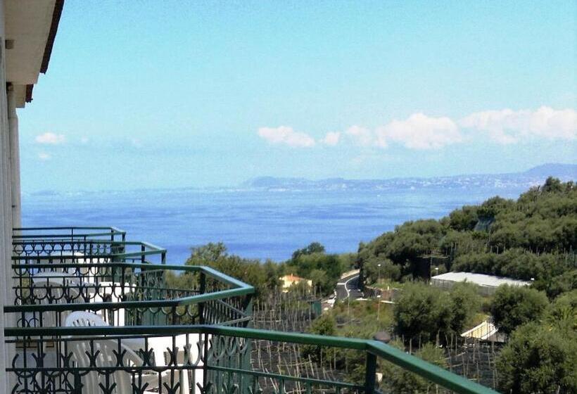 غرفة قياسية, Central Park