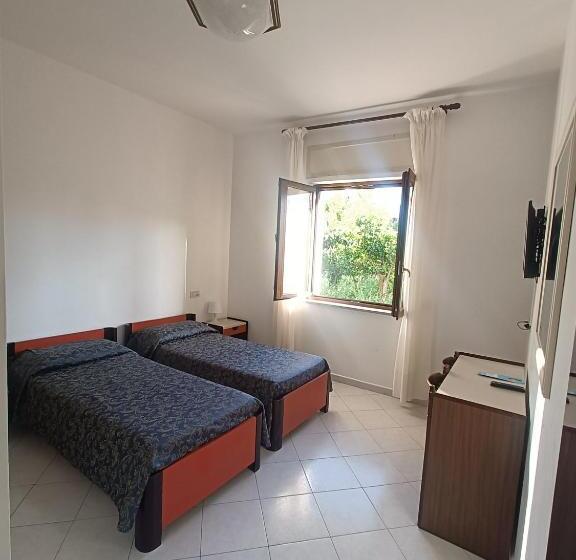 غرفة إقتصادية, Central Park