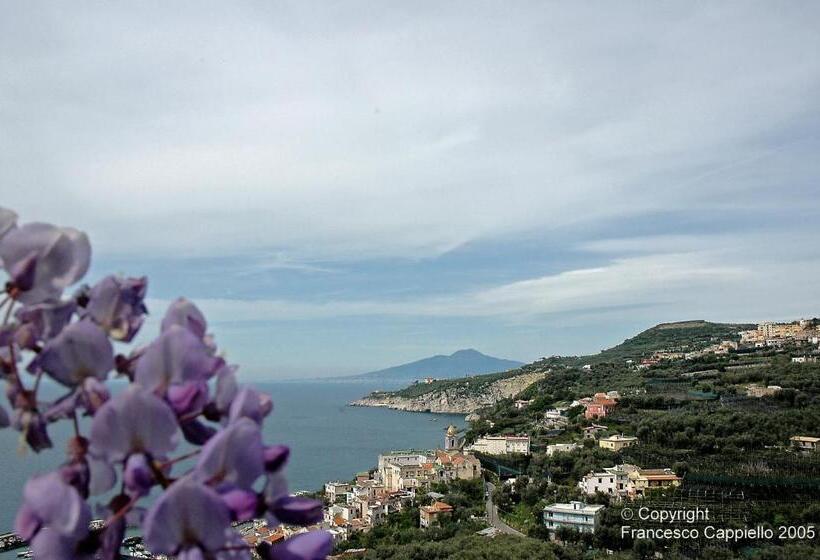 غرفة قياسية, Central Park