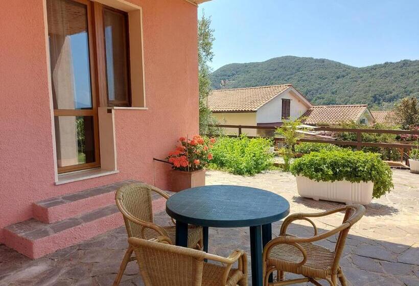 スタンダードルーム, La Feluca