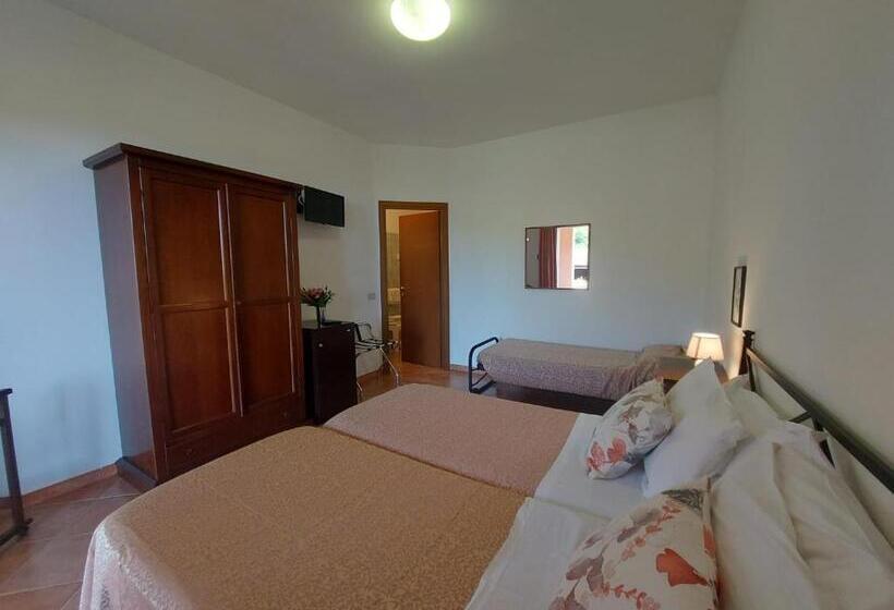 スタンダードルーム, La Feluca