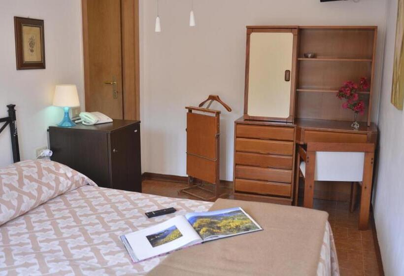 ベーシックルーム, La Feluca