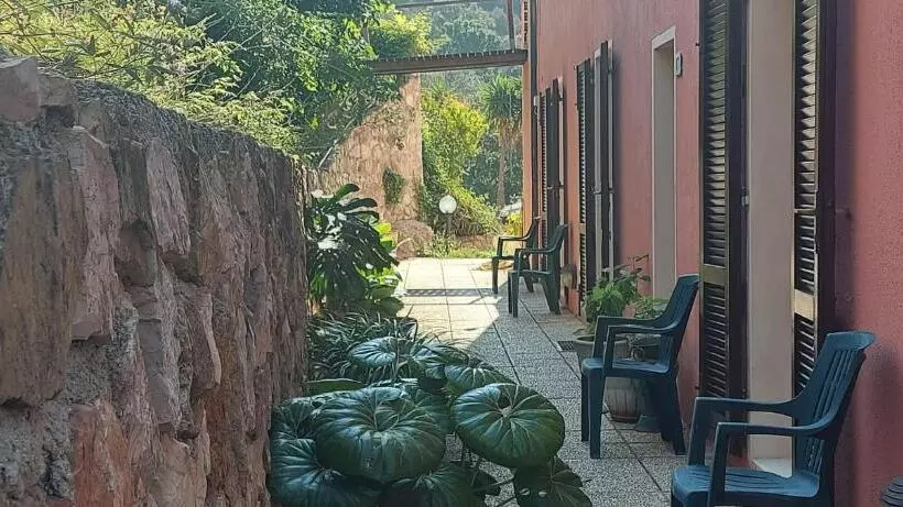 エコノミールーム, La Feluca