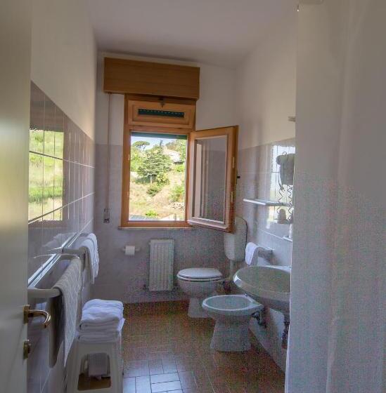 ベーシックルーム, La Feluca