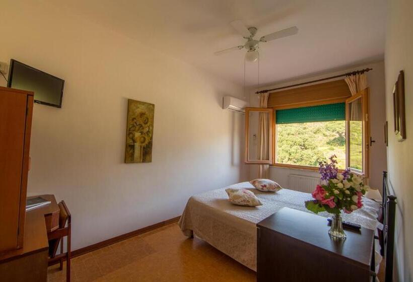 ベーシックルーム, La Feluca