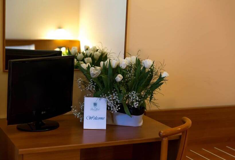 חדר סטנדרט, Park