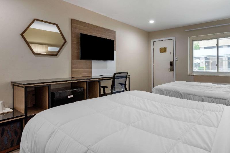 Suite Junior, Hassler Roma