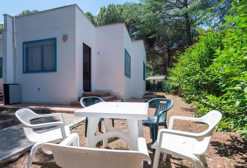 스탠다드 스튜디오, Mira