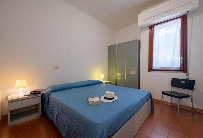 스탠다드 스튜디오, Mira