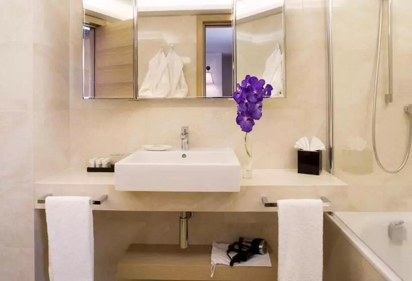 ファミリールーム, Starhotels Metropole