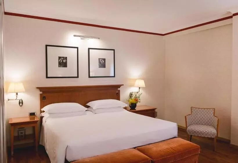 デラックスルーム, Starhotels Metropole