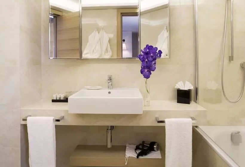 ファミリールーム, Starhotels Metropole