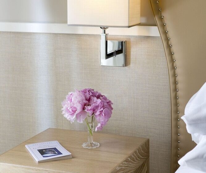 اتاق سوپریور با چشمانداز, Starhotels Terminus