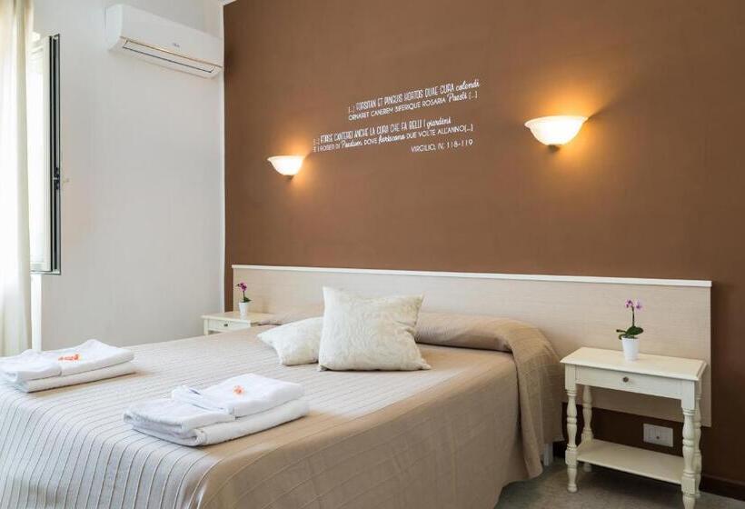 标准间, Villa Rita