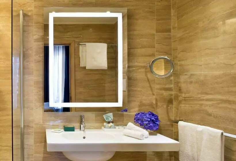 اتاق سوپریور, Starhotels Terminus