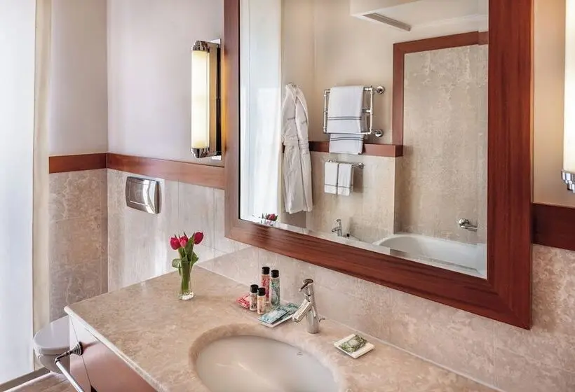 سوییت, Starhotels Terminus