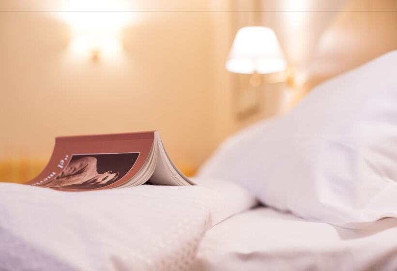 스탠다드 룸, America