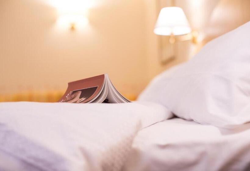 스탠다드 룸, America