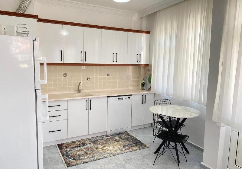 اتاق اکونومی, Carlton