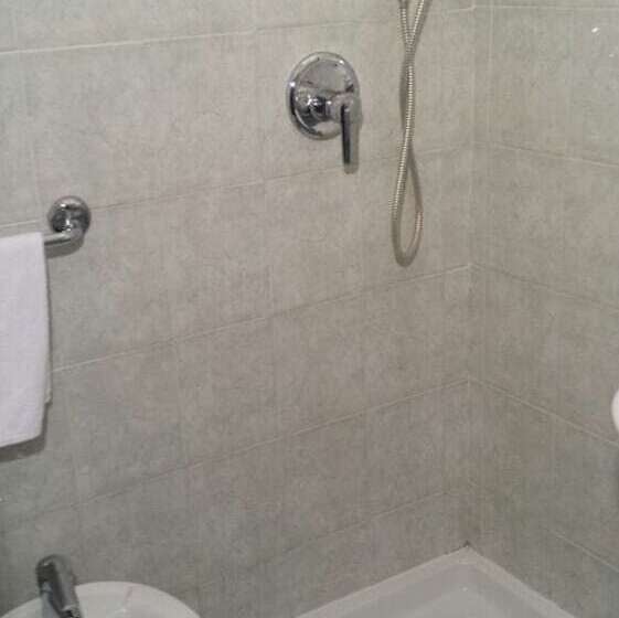 اتاق استاندارد سه نفره, Palace