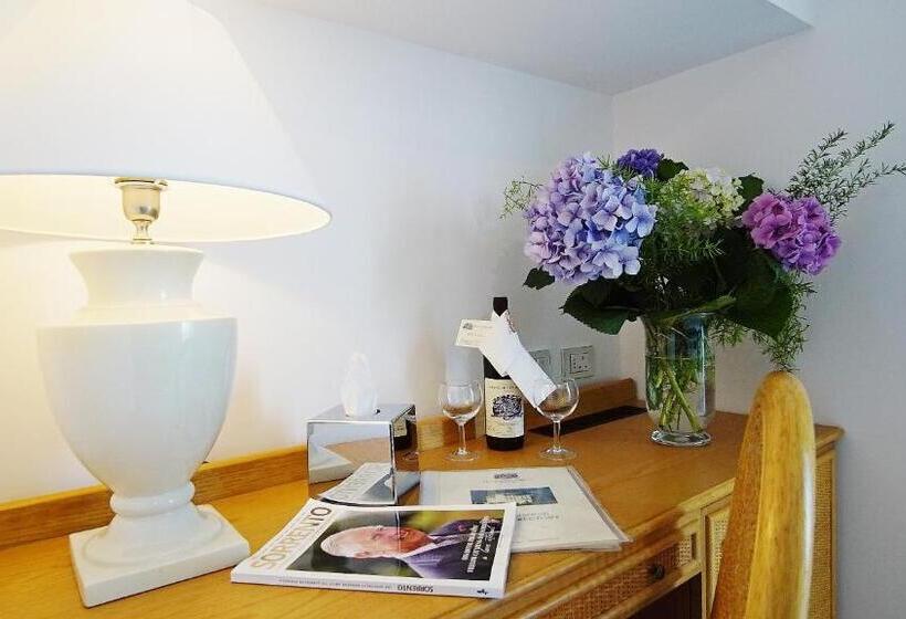 스탠다드 전망 룸, Grand Hotel Aminta