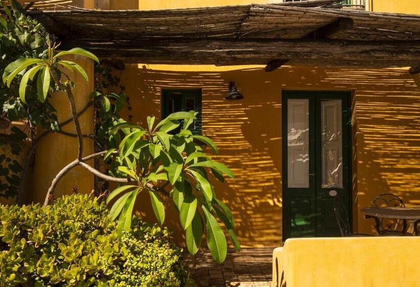 高级大房间, Signum