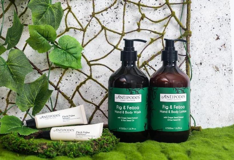 اتاق پرمیوم, Ana Crowne Plaza Kanazawa, An Ihg