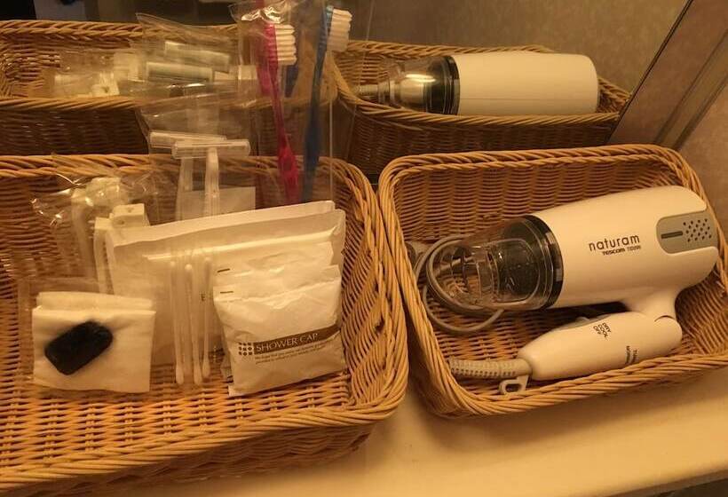 Номер Стандарт Индивидуальный Вид на Город, Kagoshima Sun Royal