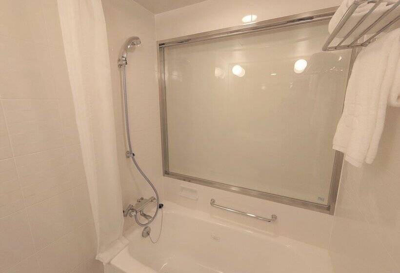 Номер Executive, Kawasaki Nikko