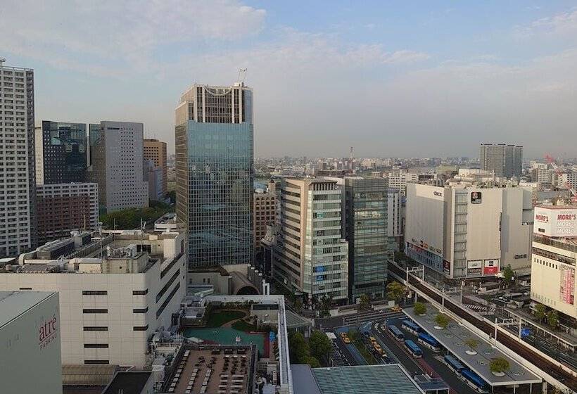 Номер Комфорт Индивидуальный, Kawasaki Nikko