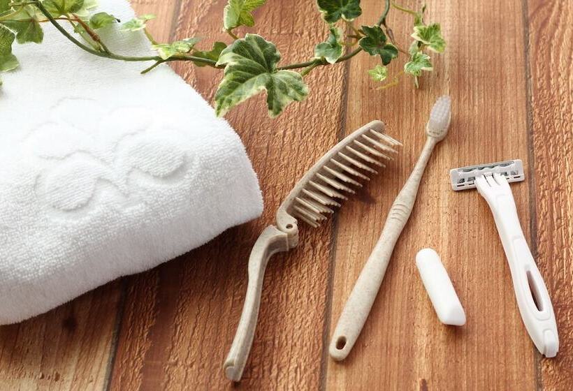 Номер Комфорт Индивидуальный, Kawasaki Nikko