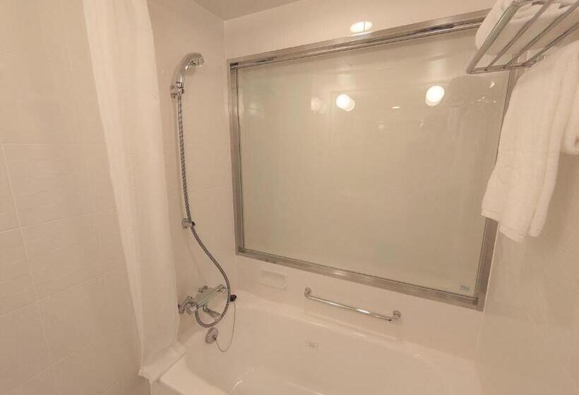 Номер Executive, Kawasaki Nikko