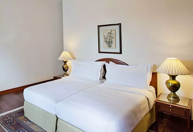 プレミアムルーム, Maidens Hotel New Delhi