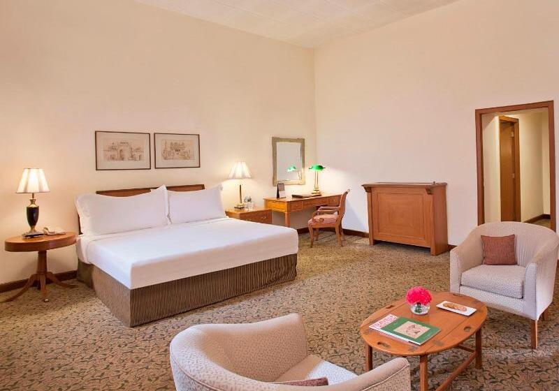 Номер Стандарт, Maidens Hotel New Delhi