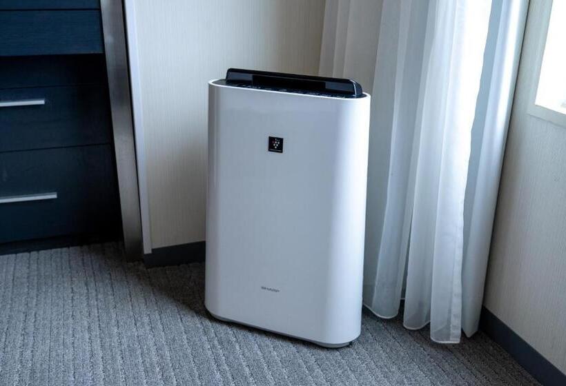 חדר סטנדרט יחיד, Nikko Osaka